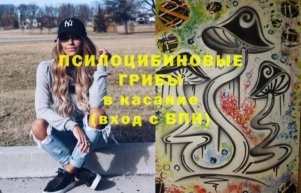 марки lsd Абаза
