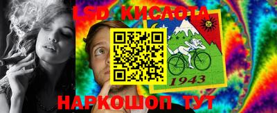 спайс Гагарин