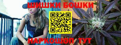 МДПВ Гатчина