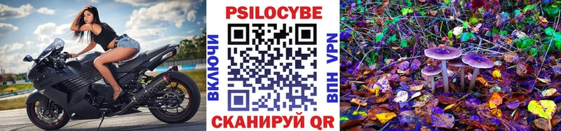 Галлюциногенные грибы Cubensis  закладка  kraken вход  Химки 