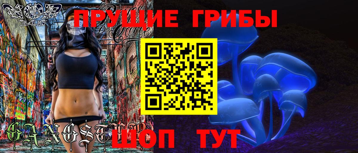 Галлюциногенные грибы Psilocybe Химки