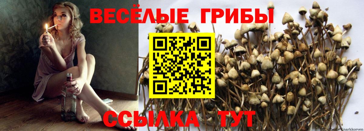 Химки  Псилоцибиновые грибы Magic Shrooms  Вход с VPN 